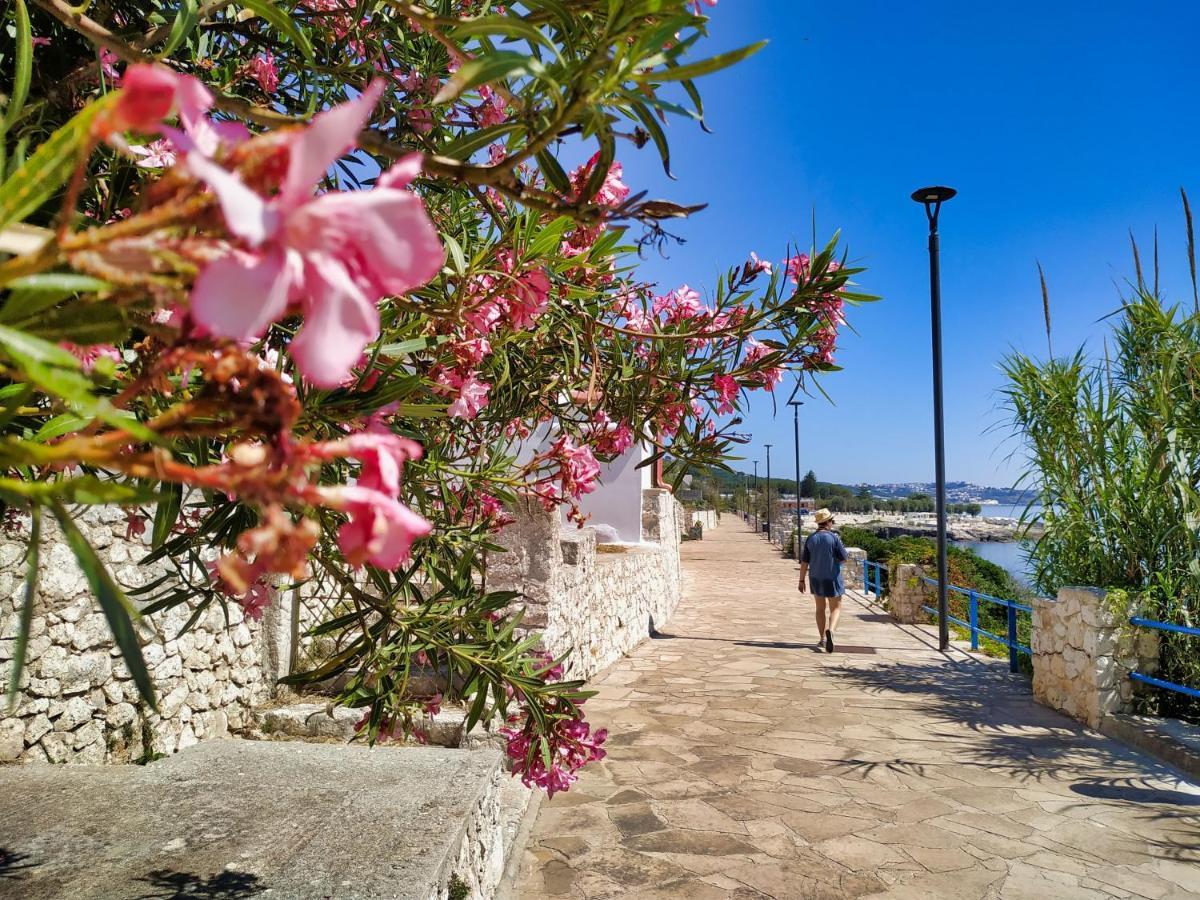 Вілла Marina Di Andrano - Alisso, Casa Vista Mare Con Parcheggio Privato E Wifi Екстер'єр фото