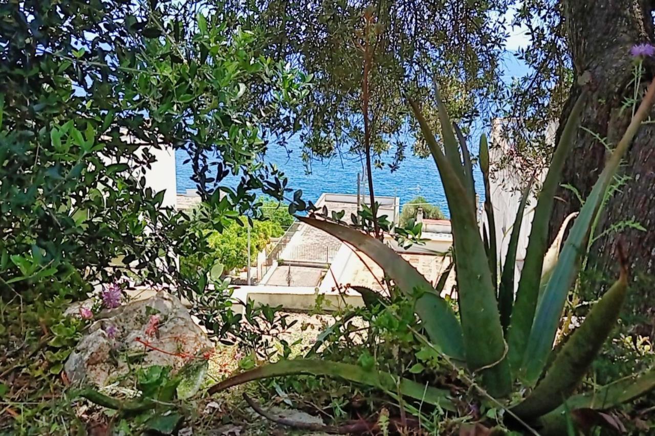 Вілла Marina Di Andrano - Alisso, Casa Vista Mare Con Parcheggio Privato E Wifi Екстер'єр фото